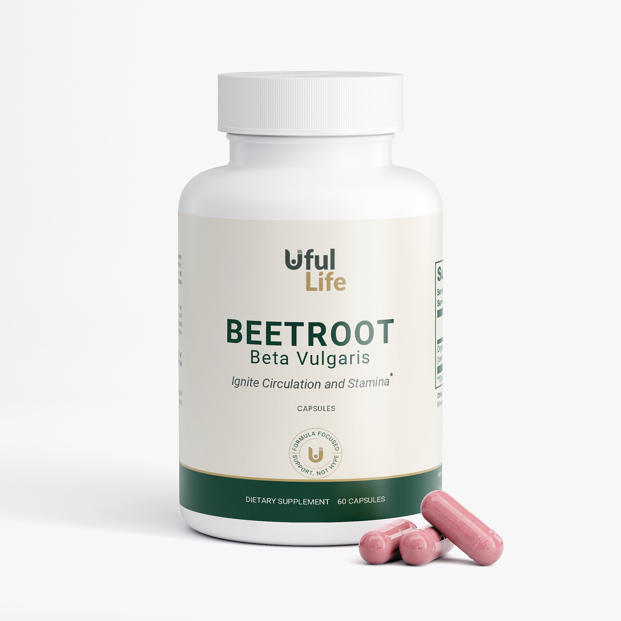 BEETROOT Beta vulgaris