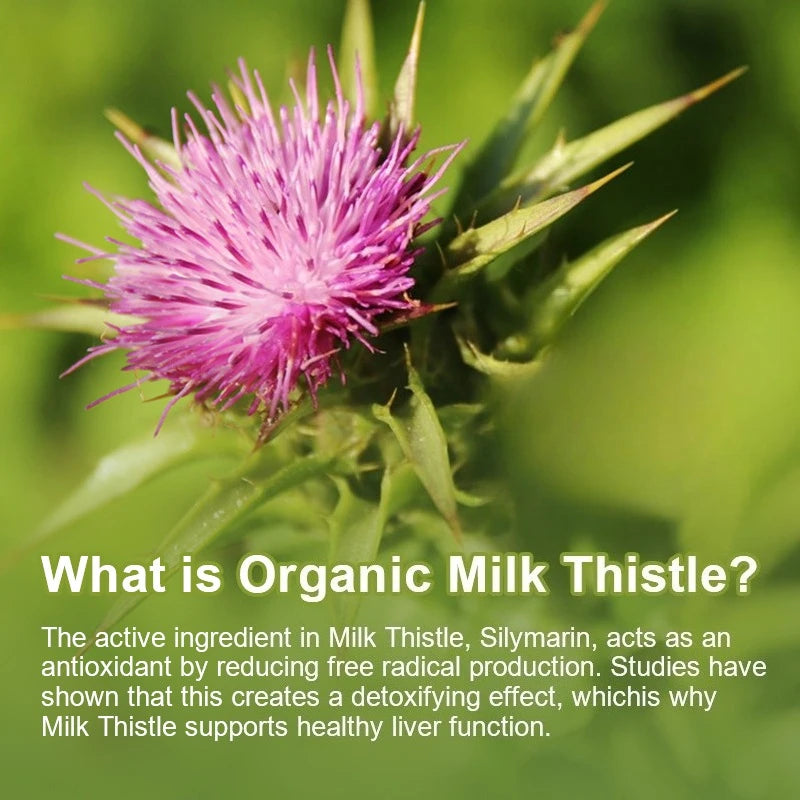Milk Thistle Extract Capsules with Dandelion for A Detox Cleansing Liver Support and Repair Formula Help Digestion Non-GMO