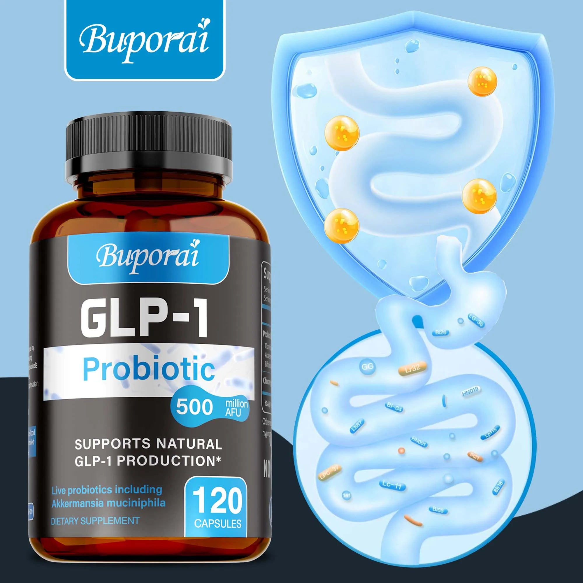 GLP-1 Probiotic – Gut Health, Blood Sugar Balance & Weight Management Support