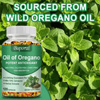Oil of Oregano – Supports Digestion, Heart Health, Detoxification & Immune Function with 70% Carvacrol