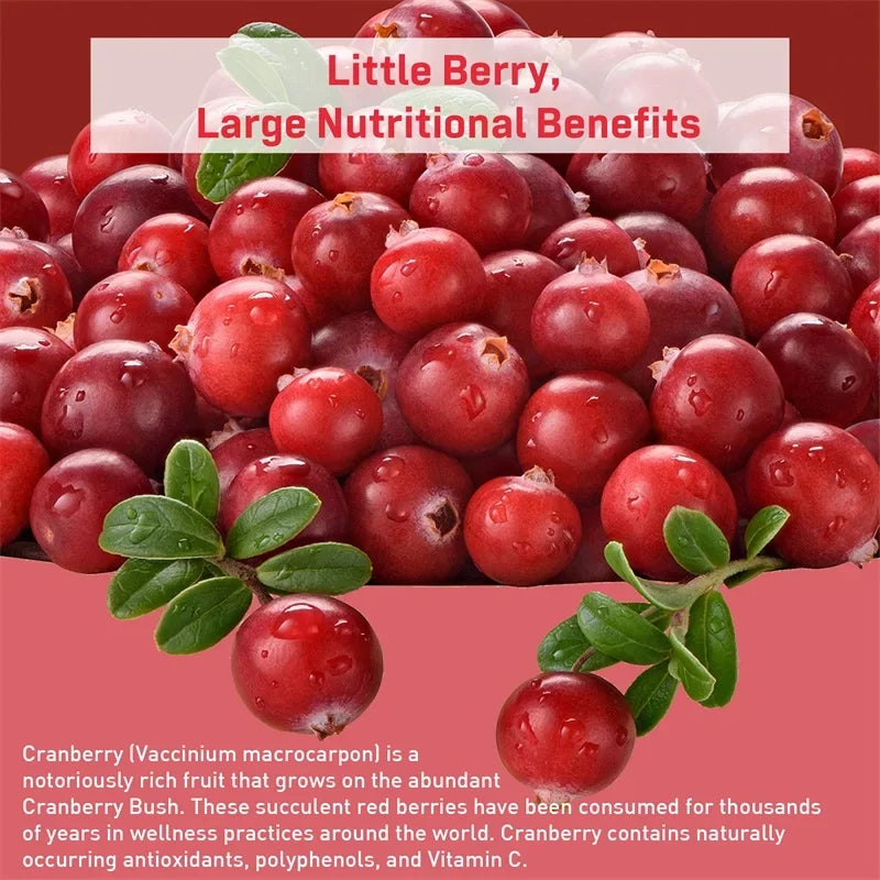 Cranberry Capsules – Supports Urinary Tract Health, Bladder Function, and Provides Antioxidant