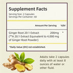 Ginger Root Capsules - Ginger Root Extract – Digestive & Inflammatory Support - Non-GMO - Natural Herbal Supplement used for over 2,500 years in Chinese and Indian medicine for digestion, circulation, and vitality.