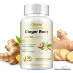 Ginger Root Capsules - Ginger Root Extract – Digestive & Inflammatory Support - Non-GMO - Natural Herbal Supplement used for over 2,500 years in Chinese and Indian medicine for digestion, circulation, and vitality.
