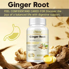 Ginger Root Capsules - Ginger Root Extract – Digestive & Inflammatory Support - Non-GMO - Natural Herbal Supplement used for over 2,500 years in Chinese and Indian medicine for digestion, circulation, and vitality.