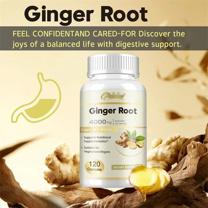 Ginger Root Capsules - Ginger Root Extract – Digestive & Inflammatory Support - Non-GMO - Natural Herbal Supplement used for over 2,500 years in Chinese and Indian medicine for digestion, circulation, and vitality.