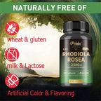 Rhodiola Rosea 2500 mg – Stress Resilience, Focus & Energy Support