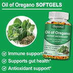 Oil of Oregano – Supports Digestion, Heart Health, Detoxification & Immune Function with 70% Carvacrol