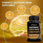 Nootropic Mushroom Blend – Cordyceps, Reishi & Lion’s Mane for Memory, Focus, and Cognitive Health