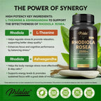 Rhodiola Rosea 2500 mg – Stress Resilience, Focus & Energy Support