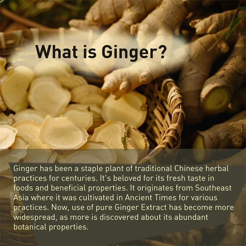 Ginger Root Capsules - Ginger Root Extract – Digestive & Inflammatory Support - Non-GMO - Natural Herbal Supplement used for over 2,500 years in Chinese and Indian medicine for digestion, circulation, and vitality.