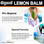 Lemon Balm - Improve Mood and Brain Health, Relieve Stress, Improve Digestion