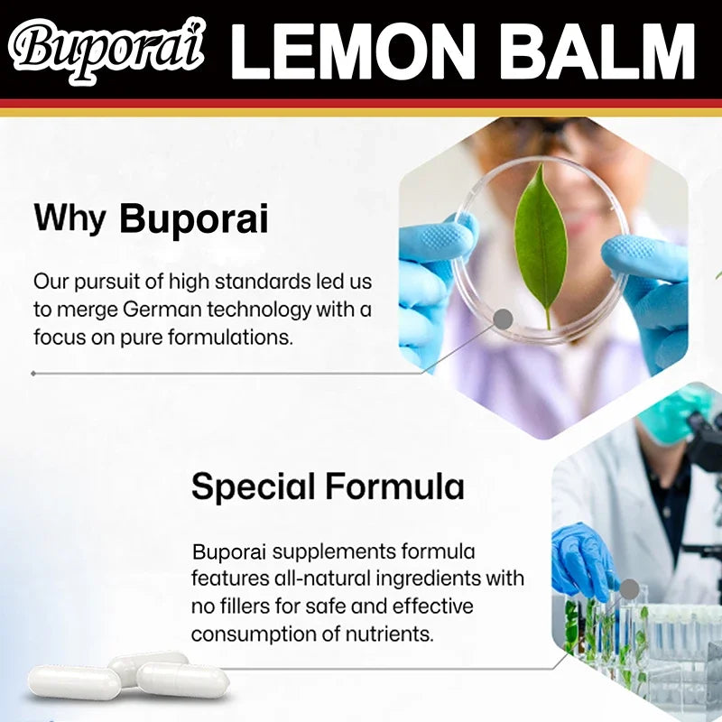 Lemon Balm - Improve Mood and Brain Health, Relieve Stress, Improve Digestion