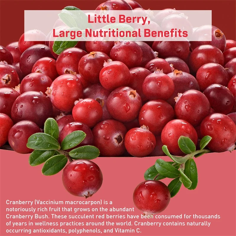 Cranberry Capsules – Supports Urinary Tract Health, Bladder Function, and Provides Antioxidant
