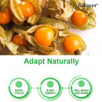 Organic Ashwagandha Supplement – Stress Relief, Energy, Vitality & Hormone Balance