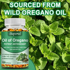 Oil of Oregano – Supports Digestion, Heart Health, Detoxification & Immune Function with 70% Carvacrol