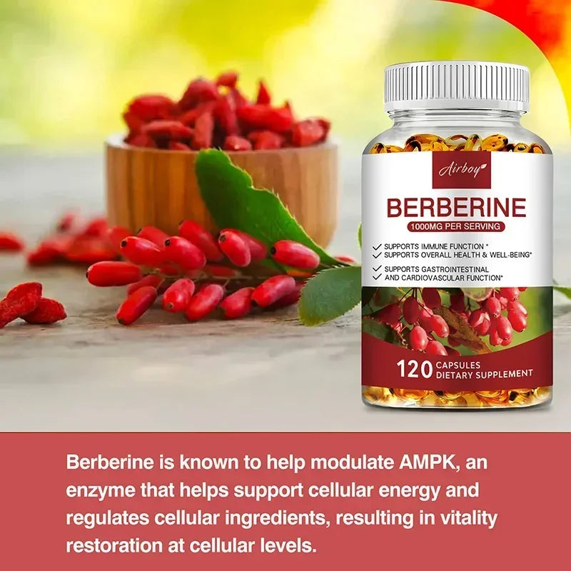Berberine – Metabolic & Blood Sugar Support - used for over 3,000 years in Traditional Chinese and Ayurvedic medicine to support digestion, metabolic balance, and general vitality.