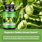Olive Leaf Extract – Cardiovascular Health & Immune Support, Antioxidant - 40% Oleuropein