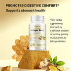 Ginger Root Capsules - Ginger Root Extract – Digestive & Inflammatory Support - Non-GMO - Natural Herbal Supplement used for over 2,500 years in Chinese and Indian medicine for digestion, circulation, and vitality.