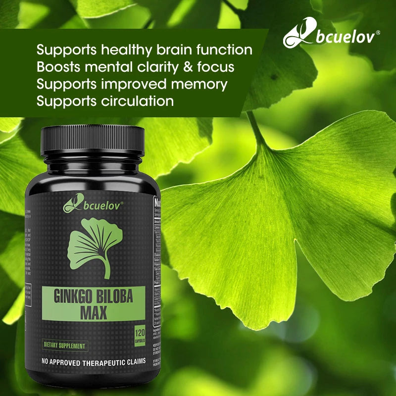 Ginkgo Biloba Capsules – Memory, Focus & Brain Function Support | Non-GMO Antioxidant Supplement