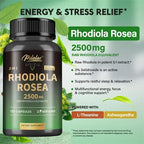 Rhodiola Rosea 2500 mg – Stress Resilience, Focus & Energy Support