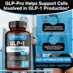 GLP-1 Probiotic – Gut Health, Blood Sugar Balance & Weight Management Support