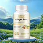 Ginger Root Capsules - Ginger Root Extract – Digestive & Inflammatory Support - Non-GMO - Natural Herbal Supplement used for over 2,500 years in Chinese and Indian medicine for digestion, circulation, and vitality.