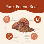 Reishi Mushroom – Immune & Stress Support with Adaptogenic Beta-Glucans
